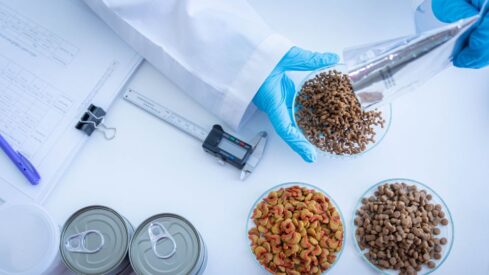 Analysis: Pet food makers step up in quality assurance and food safety