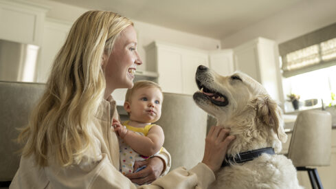 The gut is running the show: Why the microbiome has become pet nutrition's new frontier