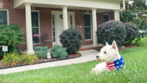 Four in five US rental operators report an increase in pet-owning tenants