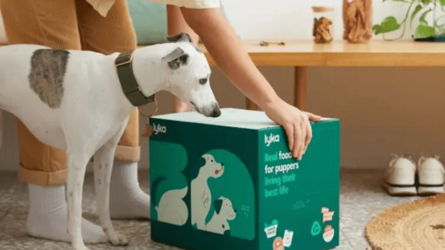 Lyka secures M to fuel growth and research