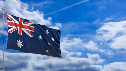 Data: Australian dog owners split over daycare use