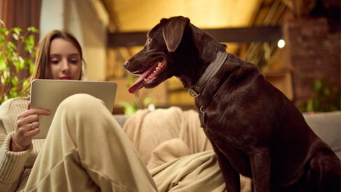 E-commerce in Europe matures as everyday online shopping gains ground