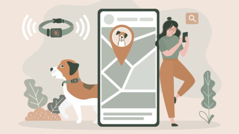 Less is more: What European owners want from smart pet devices