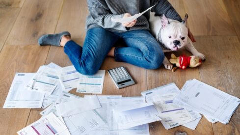 Inflation snapshot: Pet product price trends vary across major economies in July