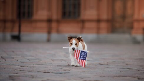 Pet companies rank among America’s fastest-growing private businesses