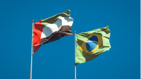 Brazilian pet food gains access to UAE market